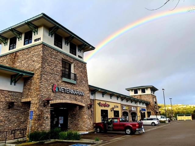 Advanced Veterinary Care of San Elijo